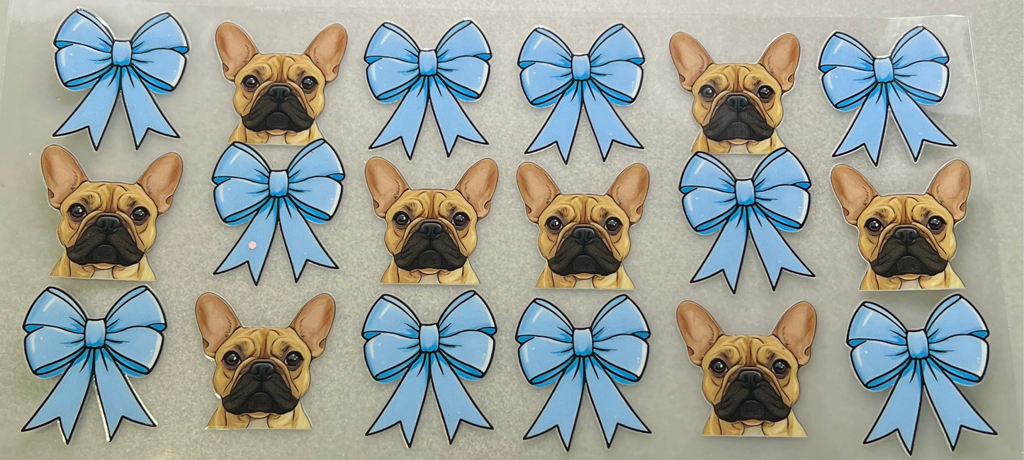 Frenchie blue bows✔️