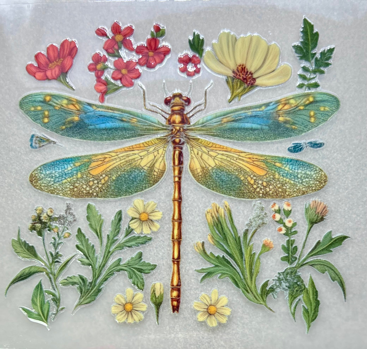 DRAGONFLY & Florals✔️