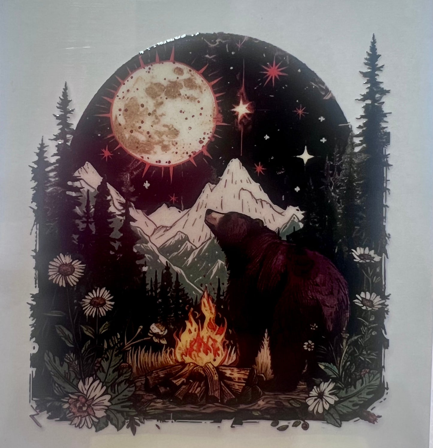 Bear looking at the moon