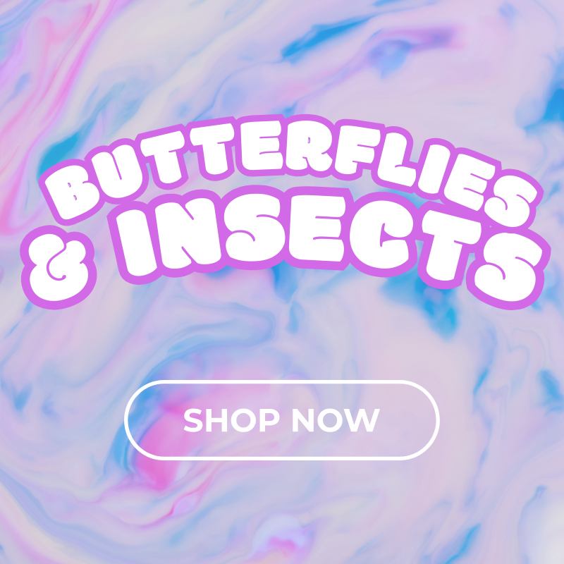 BUTTERFLIES & INSECTS Wraps & Decals