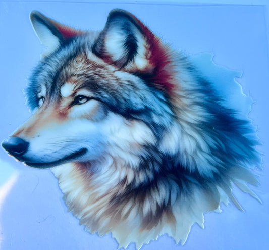 Beautiful creature 2