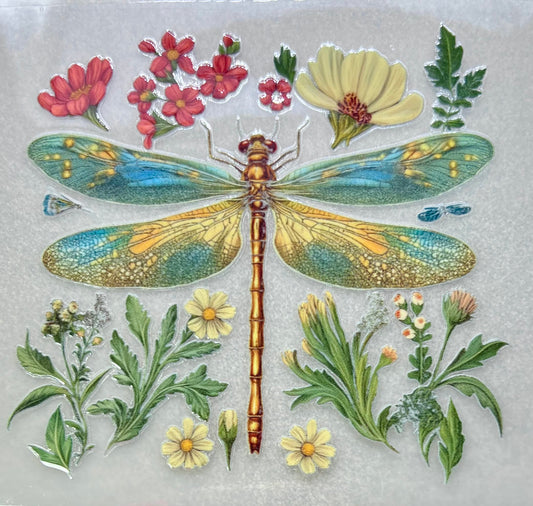 DRAGONFLY & Florals✔️