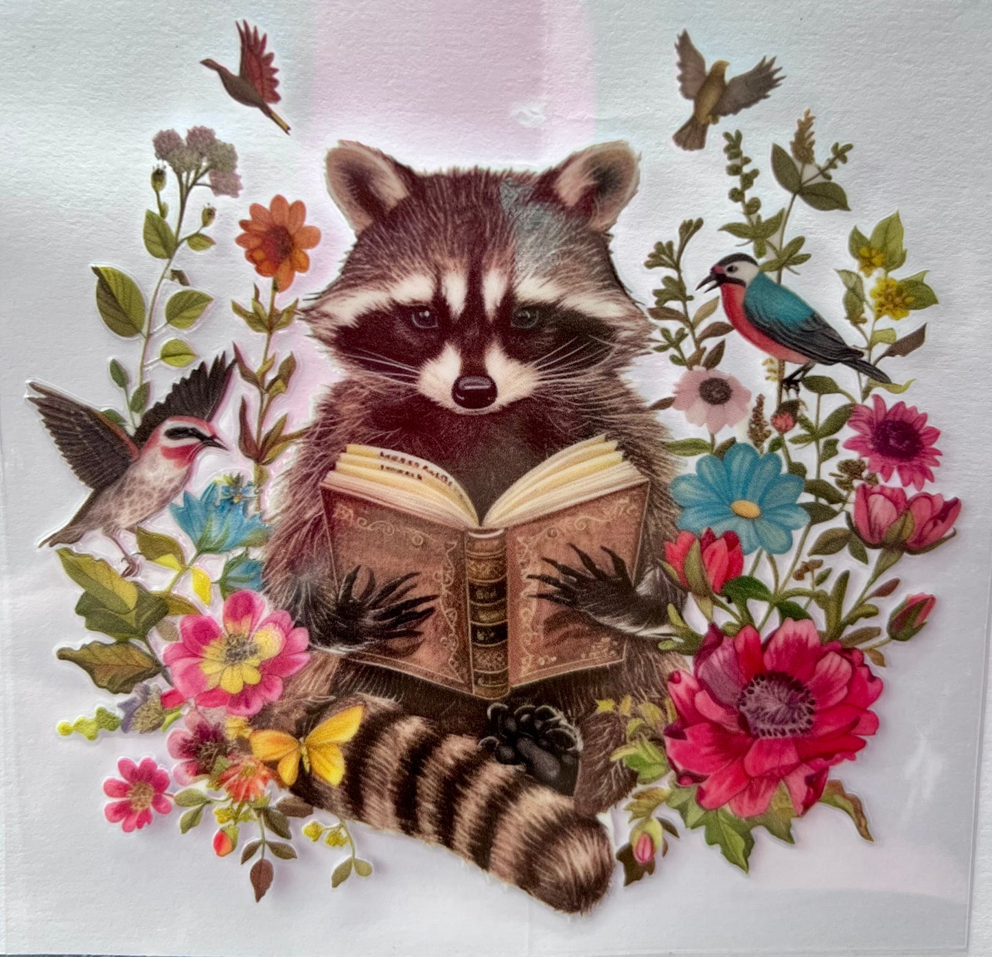 Reading Raccoon