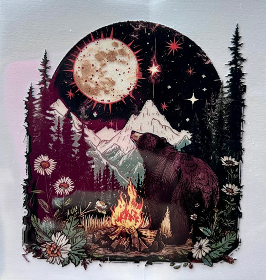 Bear looking at the moon