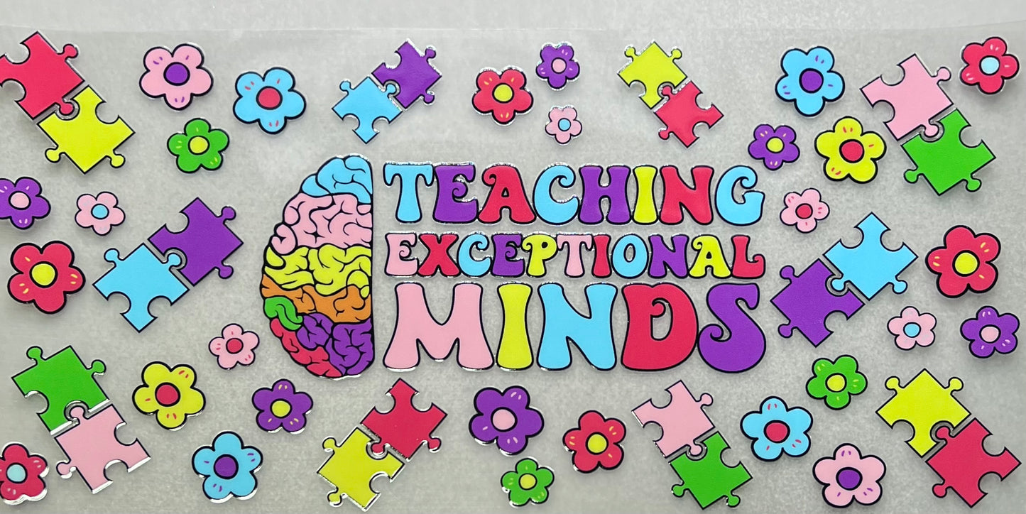 Teaching Exceptional Minds