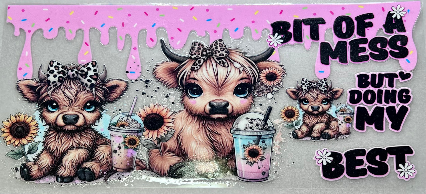 Bit of a mess….Highland Cow✔️