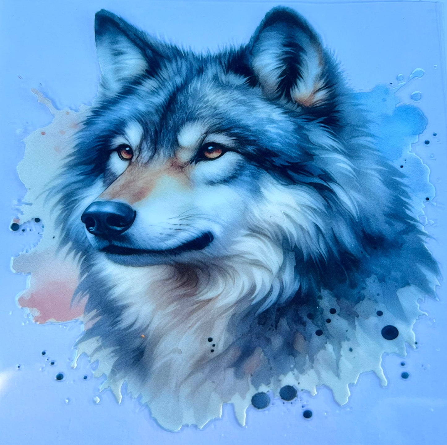 Beautiful creature 1